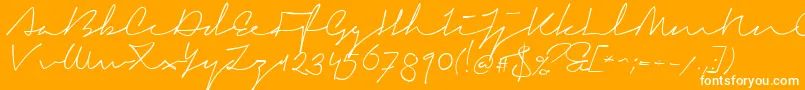 SignericaMedium-Schriftart – Weiße Schriften auf orangefarbenem Hintergrund