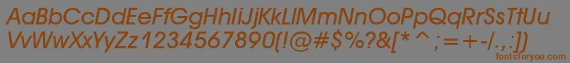 AvantGardeMediumItalic Font – Brown Fonts on Gray Background