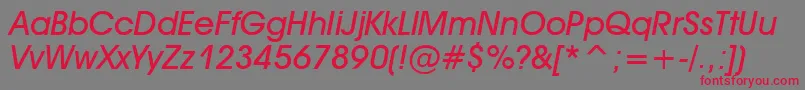 AvantGardeMediumItalic Font – Red Fonts on Gray Background