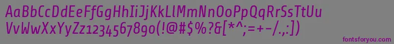 フォントShareItalicosf – 紫色のフォント、灰色の背景