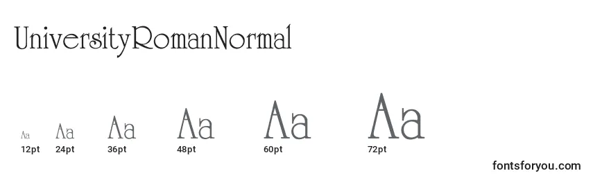UniversityRomanNormal Font Sizes