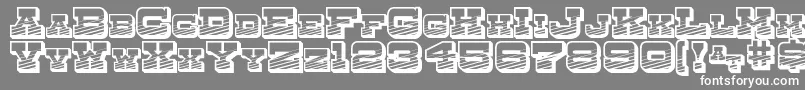 DryGoodsEmporiumSmcJl Font – White Fonts on Gray Background