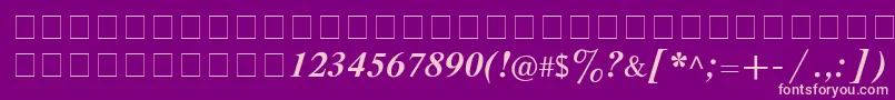 フォントCyrillictimesBoldItalic – 紫の背景にピンクのフォント