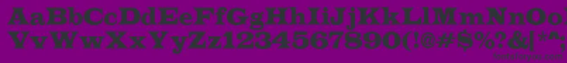 LatinoRegular Font – Black Fonts on Purple Background