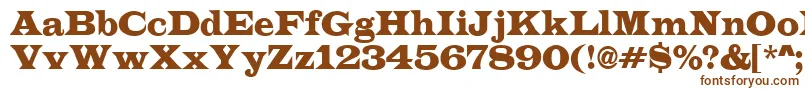 LatinoRegular Font – Brown Fonts on White Background