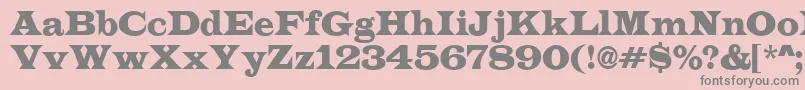 LatinoRegular Font – Gray Fonts on Pink Background