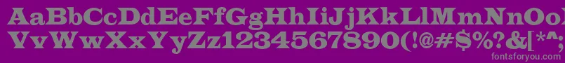 More about LatinoRegular Font LatinoRegular Font – Gray Fonts on Purple Background