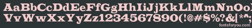 LatinoRegular Font – Pink Fonts on Black Background