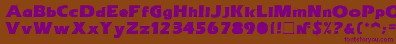 Breaker Font – Purple Fonts on Brown Background