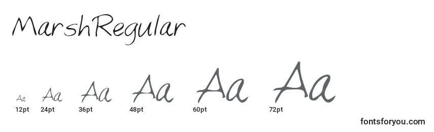 MarshRegular Font Sizes