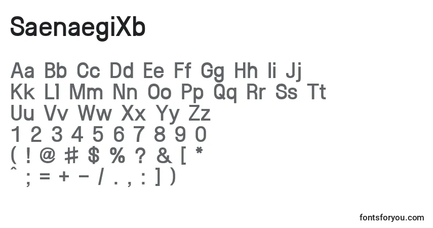 A fonte SaenaegiXb – alfabeto, números, caracteres especiais