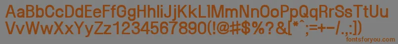 SaenaegiXb Font – Brown Fonts on Gray Background