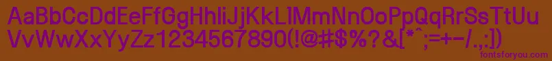 SaenaegiXb Font – Purple Fonts on Brown Background