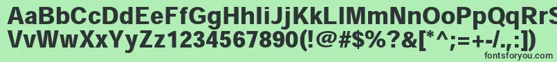 HeiseikakugostdW9 Font – Black Fonts on Green Background