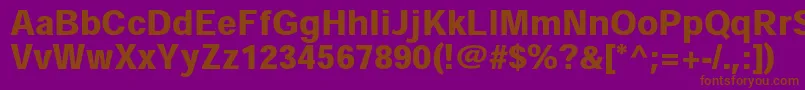 HeiseikakugostdW9 Font – Brown Fonts on Purple Background