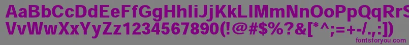 HeiseikakugostdW9 Font – Purple Fonts on Gray Background