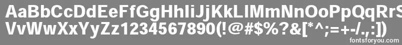 フォントHeiseikakugostdW9 – 灰色の背景に白い文字