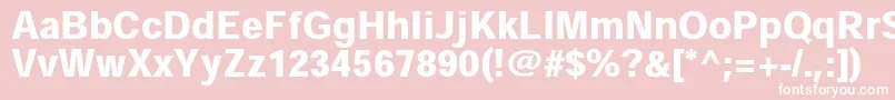 HeiseikakugostdW9 Font – White Fonts on Pink Background