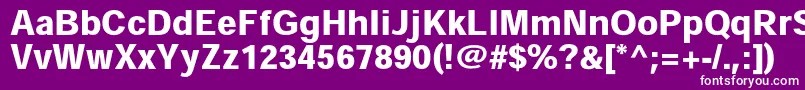 HeiseikakugostdW9 Font – White Fonts on Purple Background