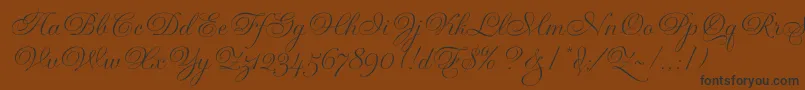 GravuraLetPlain.1.0 Font – Black Fonts on Brown Background