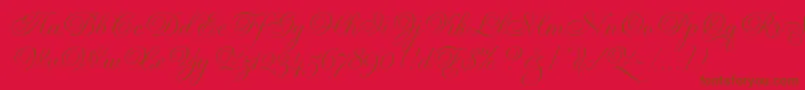 GravuraLetPlain.1.0 Font – Brown Fonts on Red Background