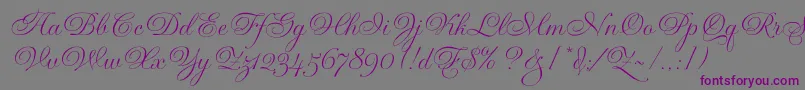 GravuraLetPlain.1.0-fontti – violetit fontit harmaalla taustalla