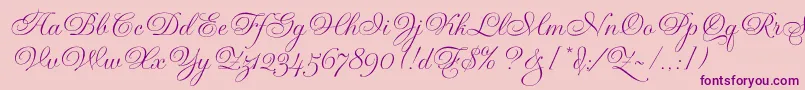 GravuraLetPlain.1.0 Font – Purple Fonts on Pink Background