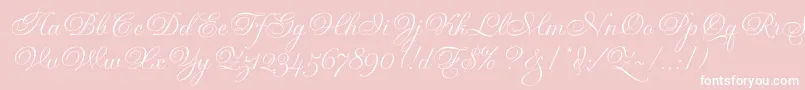 GravuraLetPlain.1.0 Font – White Fonts on Pink Background