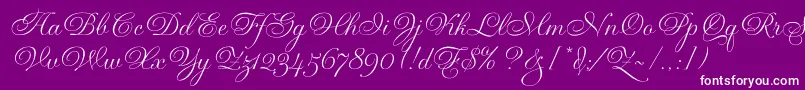 Police GravuraLetPlain.1.0 – polices blanches sur fond violet