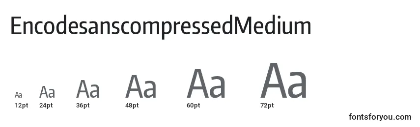 Размеры шрифта EncodesanscompressedMedium