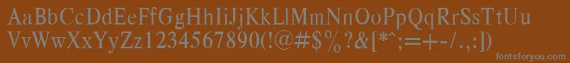 RespectNarrowPlain.001.001 Font – Gray Fonts on Brown Background