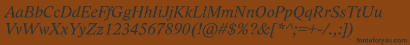 LidoStfItalic Font – Black Fonts on Brown Background