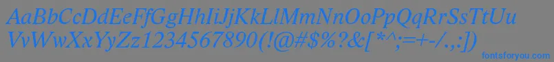 LidoStfItalic Font – Blue Fonts on Gray Background