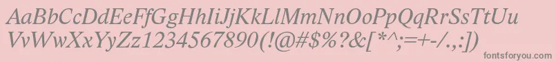 LidoStfItalic Font – Gray Fonts on Pink Background