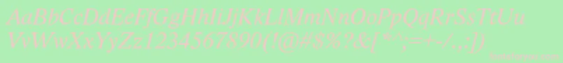 LidoStfItalic Font – Pink Fonts on Green Background