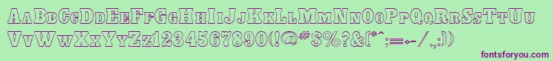 BounderRegular Font – Purple Fonts on Green Background