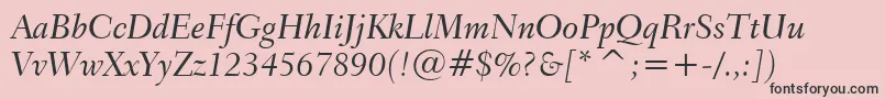 Transitional551MediumItalicBt Font – Black Fonts on Pink Background