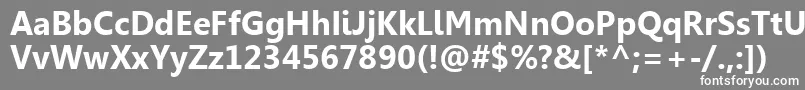 LeelawadeeРџРѕР»СѓР¶РёСЂРЅС‹Р№ Font – White Fonts on Gray Background