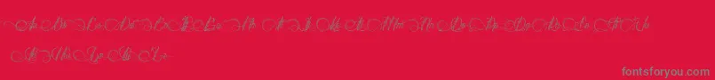 DianeDeFrance-Schriftart – Graue Schriften auf rotem Hintergrund