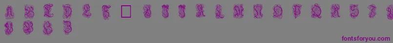 Nardis-Schriftart – Violette Schriften auf grauem Hintergrund