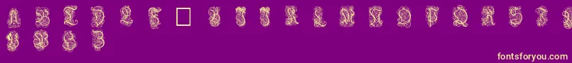 Nardis Font – Yellow Fonts on Purple Background