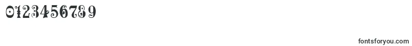 Maxcircu Font – Fonts for Numbers and Digits