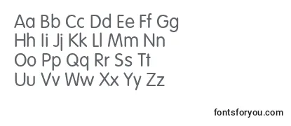 Sansroundedlightc Font
