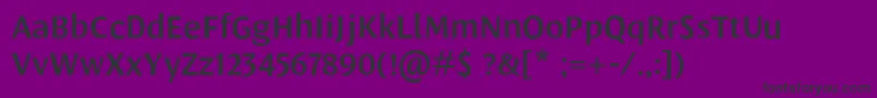 LeksasansproDemibold Font – Black Fonts on Purple Background
