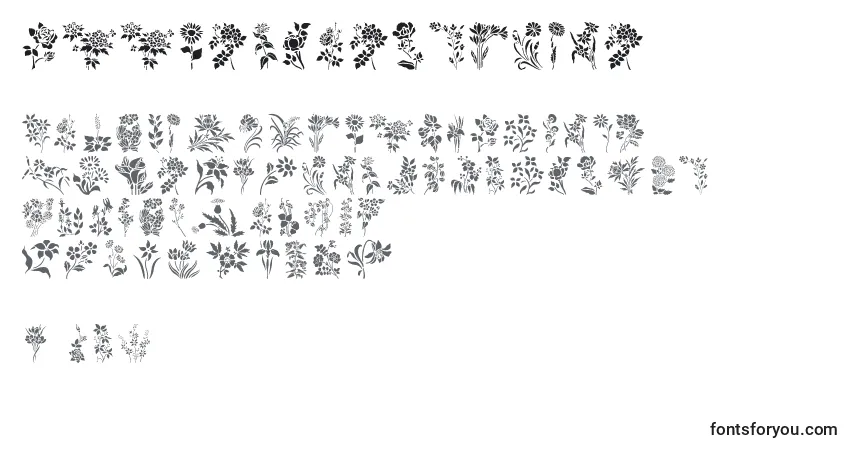 HffFloralStencil (86591) Font – alphabet, numbers, special characters