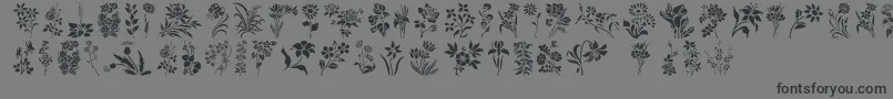 Шрифт HffFloralStencil – чёрные шрифты на сером фоне