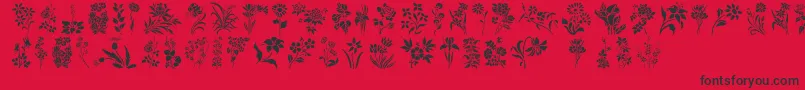 HffFloralStencil Font – Black Fonts on Red Background