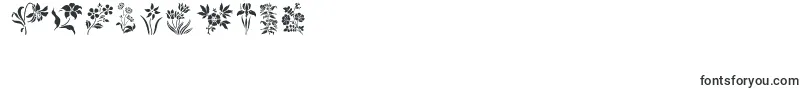 フォントHffFloralStencil – 数字と数値のためのフォント