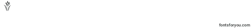Fonte HffFloralStencil – fontes números 4