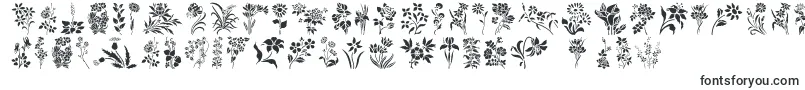 フォントHffFloralStencil – Adobe InDesign用のフォント